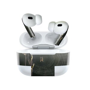 Air Pods Pro2 / Pro1 p fUCXLV[ airpods GA|bh apple Abv AirPods Pro 1 airpodsPro 2 Ή Cz Jo[ fR[V ANZT[ fRV[ 023820 ̑@