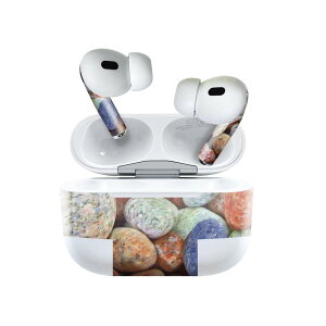 Air Pods Pro2 / Pro1 ��p �f�U�C���X�L���V�[�� airpods �G�A�|�b�h apple �A�b�v�� AirPods Pro ��1���� airpodsPro ��2���� �Ή� �C���z�� �J�o�[ �f�R���[�V���� �A�N�Z�T���[ �f�R�V�[�� 023838 �J���t���@