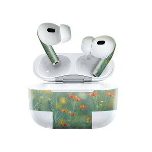 Air Pods Pro2 / Pro1 ��p �f�U�C���X�L���V�[�� airpods �G�A�|�b�h apple �A�b�v�� AirPods Pro ��1���� airpodsPro ��2���� �Ή� �C���z�� �J�o�[ �f�R���[�V���� �A�N�Z�T���[ �f�R�V�[�� 023848 �ԁ@�t����