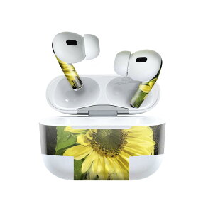 Air Pods Pro2 / Pro1 p fUCXLV[ airpods GA|bh apple Abv AirPods Pro 1 airpodsPro 2 Ή Cz Jo[ fR[V ANZT[ fRV[ 023851 ԁ@t