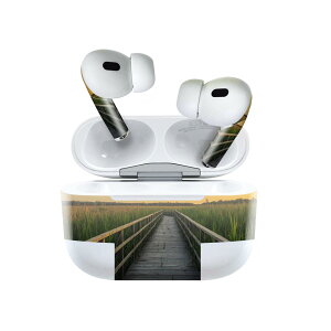 Air Pods Pro2 / Pro1 ��p �f�U�C���X�L���V�[�� airpods �G�A�|�b�h apple �A�b�v�� AirPods Pro ��1���� airpodsPro ��2���� �Ή� �C���z�� �J�o�[ �f�R���[�V���� �A�N�Z�T���[ �f�R�V�[�� 023855 ���@�u���b