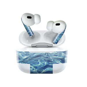 Air Pods Pro2 / Pro1 ��p �f�U�C���X�L���V�[�� airpods �G�A�|�b�h apple �A�b�v�� AirPods Pro ��1���� airpodsPro ��2���� �Ή� �C���z�� �J�o�[ �f�R���[�V���� �A�N�Z�T���[ �f�R�V�[�� 023864 ���ʁ@�C