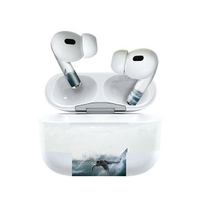 Air Pods Pro2 / Pro1 ��p �f�U�C���X�L���V�[�� airpods �G�A�|�b�h apple �A�b�v�� AirPods Pro ��1���� airpodsPro ��2���� �Ή� �C���z�� �J�o�[ �f�R���[�V���� �A�N�Z�T���[ �f�R�V�[�� 023865 �C�@�T�[�t