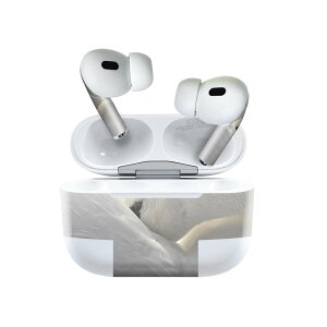 Air Pods Pro2 / Pro1 p fUCXLV[ airpods GA|bh apple Abv AirPods Pro 1 airpodsPro 2 Ή Cz Jo[ fR[V ANZT[ fRV[ 023866 @