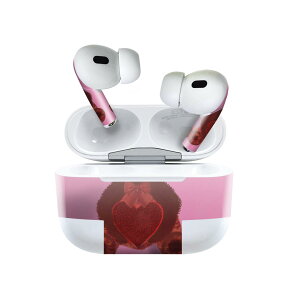 Air Pods Pro2 / Pro1 ��p �f�U�C���X�L���V�[�� airpods �G�A�|�b�h apple �A�b�v�� AirPods Pro ��1���� airpodsPro ��2���� �Ή� �C���z�� �J�o�[ �f�R���[�V���� �A�N�Z�T���[ �f�R�V�[�� 023877 ���܁@�e�B