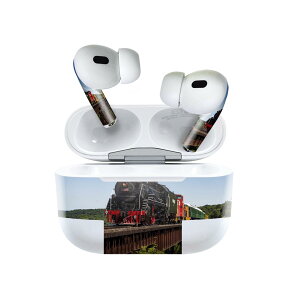 Air Pods Pro2 / Pro1 ��p �f�U�C���X�L���V�[�� airpods �G�A�|�b�h apple �A�b�v�� AirPods Pro ��1���� airpodsPro ��2���� �Ή� �C���z�� �J�o�[ �f�R���[�V���� �A�N�Z�T���[ �f�R�V�[�� 023901 �@�֎ԁ@�S