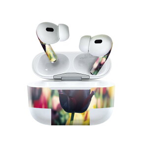 Air Pods Pro2 / Pro1 p fUCXLV[ airpods GA|bh apple Abv AirPods Pro 1 airpodsPro 2 Ή Cz Jo[ fR[V ANZT[ fRV[ 023913 ԁ@t