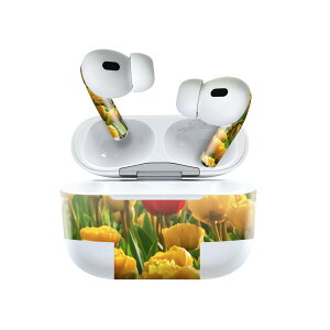 Air Pods Pro2 / Pro1 p fUCXLV[ airpods GA|bh apple Abv AirPods Pro 1 airpodsPro 2 Ή Cz Jo[ fR[V ANZT[ fRV[ 023914 ԁ@t