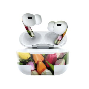 Air Pods Pro2 / Pro1 ��p �f�U�C���X�L���V�[�� airpods �G�A�|�b�h apple �A�b�v�� AirPods Pro ��1���� airpodsPro ��2���� �Ή� �C���z�� �J�o�[ �f�R���[�V���� �A�N�Z�T���[ �f�R�V�[�� 023917 �ԁ@�t����