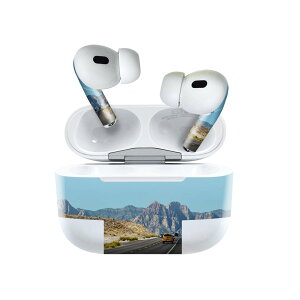Air Pods Pro2 / Pro1 ��p �f�U�C���X�L���V�[�� airpods �G�A�|�b�h apple �A�b�v�� AirPods Pro ��1���� airpodsPro ��2���� �Ή� �C���z�� �J�o�[ �f�R���[�V���� �A�N�Z�T���[ �f�R�V�[�� 023929 �ʐ^�@���H