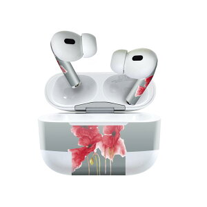 Air Pods Pro2 / Pro1 p fUCXLV[ airpods GA|bh apple Abv AirPods Pro 1 airpodsPro 2 Ή Cz Jo[ fR[V ANZT[ fRV[ 023953 ԁ@CX