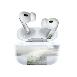 Air Pods Pro2 / Pro1 ��p �f�U�C���X�L���V�[�� airpods �G�A�|�b�h apple �A�b�v�� AirPods Pro ��1���� airpodsPro ��2���� �Ή� �C���z�� �J�o�[ �f�R���[�V���� �A�N�Z�T���[ �f�R�V�[�� 023954 �i�F�@��@