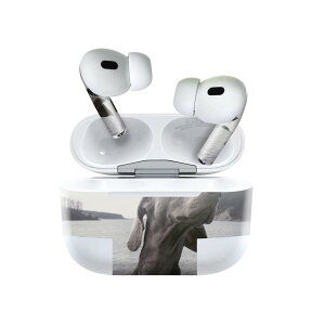 Air Pods Pro2 / Pro1 p fUCXLV[ airpods GA|bh apple Abv AirPods Pro 1 airpodsPro 2 Ή Cz Jo[ fR[V ANZT[ fRV[ 023964 @@