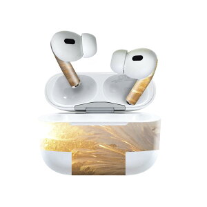 Air Pods Pro2 / Pro1 p fUCXLV[ airpods GA|bh apple Abv AirPods Pro 1 airpodsPro 2 Ή Cz Jo[ fR[V ANZT[ fRV[ 023976 H@[
