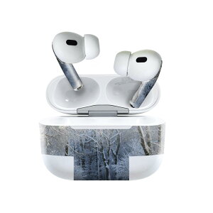 Air Pods Pro2 / Pro1 ��p �f�U�C���X�L���V�[�� airpods �G�A�|�b�h apple �A�b�v�� AirPods Pro ��1���� airpodsPro ��2���� �Ή� �C���z�� �J�o�[ �f�R���[�V���� �A�N�Z�T���[ �f�R�V�[�� 023977 ��@�~�@�i