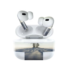 Air Pods Pro2 / Pro1 ��p �f�U�C���X�L���V�[�� airpods �G�A�|�b�h apple �A�b�v�� AirPods Pro ��1���� airpodsPro ��2���� �Ή� �C���z�� �J�o�[ �f�R���[�V���� �A�N�Z�T���[ �f�R�V�[�� 023978 �~�@��@�i