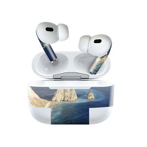 Air Pods Pro2 / Pro1 ��p �f�U�C���X�L���V�[�� airpods �G�A�|�b�h apple �A�b�v�� AirPods Pro ��1���� airpodsPro ��2���� �Ή� �C���z�� �J�o�[ �f�R���[�V���� �A�N�Z�T���[ �f�R�V�[�� 023995 �C�@�ʐ^�@