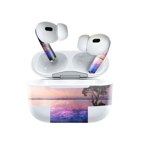Air Pods Pro2 / Pro1 ��p �f�U�C���X�L���V�[�� airpods �G�A�|�b�h apple �A�b�v�� AirPods Pro ��1���� airpodsPro ��2���� �Ή� �C���z�� �J�o�[ �f�R���[�V���� �A�N�Z�T���[ �f�R�V�[�� 025583 �i�F�@���R