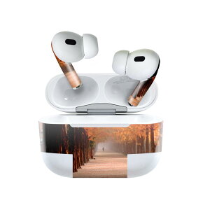 Air Pods Pro2 / Pro1 ��p �f�U�C���X�L���V�[�� airpods �G�A�|�b�h apple �A�b�v�� AirPods Pro ��1���� airpodsPro ��2���� �Ή� �C���z�� �J�o�[ �f�R���[�V���� �A�N�Z�T���[ �f�R�V�[�� 025603 �i�F�@�g�t