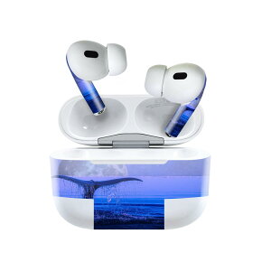 Air Pods Pro2 / Pro1 ��p �f�U�C���X�L���V�[�� airpods �G�A�|�b�h apple �A�b�v�� AirPods Pro ��1���� airpodsPro ��2���� �Ή� �C���z�� �J�o�[ �f�R���[�V���� �A�N�Z�T���[ �f�R�V�[�� 025675 ������@��