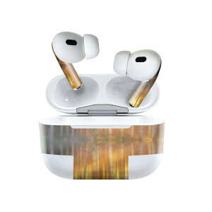 Air Pods Pro2 / Pro1 ��p �f�U�C���X�L���V�[�� airpods �G�A�|�b�h apple �A�b�v�� AirPods Pro ��1���� airpodsPro ��2���� �Ή� �C���z�� �J�o�[ �f�R���[�V���� �A�N�Z�T���[ �f�R�V�[�� 025679 �X�с@���R