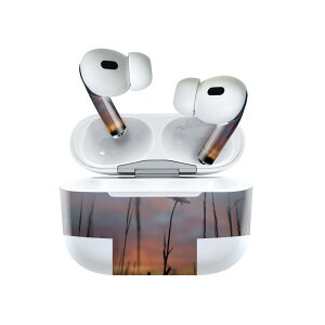 Air Pods Pro2 / Pro1 ��p �f�U�C���X�L���V�[�� airpods �G�A�|�b�h apple �A�b�v�� AirPods Pro ��1���� airpodsPro ��2���� �Ή� �C���z�� �J�o�[ �f�R���[�V���� �A�N�Z�T���[ �f�R�V�[�� 025684 ���i�@���R