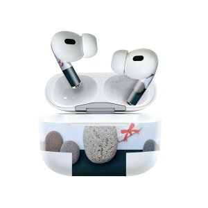 Air Pods Pro2 / Pro1 ��p �f�U�C���X�L���V�[�� airpods �G�A�|�b�h apple �A�b�v�� AirPods Pro ��1���� airpodsPro ��2���� �Ή� �C���z�� �J�o�[ �f�R���[�V���� �A�N�Z�T���[ �f�R�V�[�� 025718 �΁@���Ɓ@