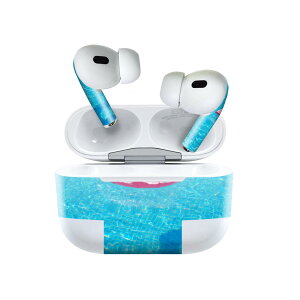 Air Pods Pro2 / Pro1 ��p �f�U�C���X�L���V�[�� airpods �G�A�|�b�h apple �A�b�v�� AirPods Pro ��1���� airpodsPro ��2���� �Ή� �C���z�� �J�o�[ �f�R���[�V���� �A�N�Z�T���[ �f�R�V�[�� 025725 �v�[���@��