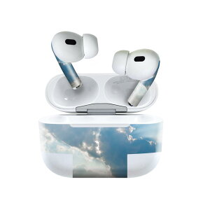 Air Pods Pro2 / Pro1 ��p �f�U�C���X�L���V�[�� airpods �G�A�|�b�h apple �A�b�v�� AirPods Pro ��1���� airpodsPro ��2���� �Ή� �C���z�� �J�o�[ �f�R���[�V���� �A�N�Z�T���[ �f�R�V�[�� 025774 ��@�_�@�n