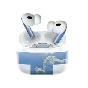 Air Pods Pro2 / Pro1 ��p �f�U�C���X�L���V�[�� airpods �G�A�|�b�h apple �A�b�v�� AirPods Pro ��1���� airpodsPro ��2���� �Ή� �C���z�� �J�o�[ �f�R���[�V���� �A�N�Z�T���[ �f�R�V�[�� 025775 ��@�_�@�V