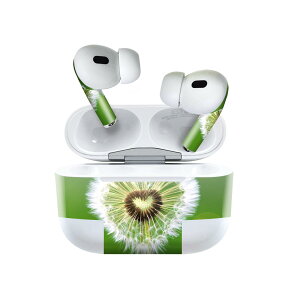 Air Pods Pro2 / Pro1 ��p �f�U�C���X�L���V�[�� airpods �G�A�|�b�h apple �A�b�v�� AirPods Pro ��1���� airpodsPro ��2���� �Ή� �C���z�� �J�o�[ �f�R���[�V���� �A�N�Z�T���[ �f�R�V�[�� 025776 �ԁ@�����