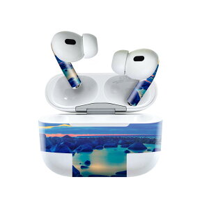 Air Pods Pro2 / Pro1 ��p �f�U�C���X�L���V�[�� airpods �G�A�|�b�h apple �A�b�v�� AirPods Pro ��1���� airpodsPro ��2���� �Ή� �C���z�� �J�o�[ �f�R���[�V���� �A�N�Z�T���[ �f�R�V�[�� 025777 �C�@��