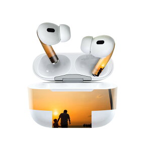 Air Pods Pro2 / Pro1 ��p �f�U�C���X�L���V�[�� airpods �G�A�|�b�h apple �A�b�v�� AirPods Pro ��1���� airpodsPro ��2���� �Ή� �C���z�� �J�o�[ �f�R���[�V���� �A�N�Z�T���[ �f�R�V�[�� 025802 �[���@�e�q
