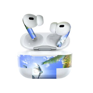 Air Pods Pro2 / Pro1 p fUCXLV[ airpods GA|bh apple Abv AirPods Pro 1 airpodsPro 2 Ή Cz Jo[ fR[V ANZT[ fRV[ 025803 V̖؁@