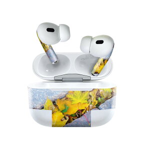 Air Pods Pro2 / Pro1 p fUCXLV[ airpods GA|bh apple Abv AirPods Pro 1 airpodsPro 2 Ή Cz Jo[ fR[V ANZT[ fRV[ 025815 gt@H@