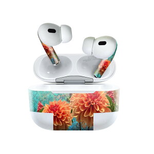 Air Pods Pro2 / Pro1 p fUCXLV[ airpods GA|bh apple Abv AirPods Pro 1 airpodsPro 2 Ή Cz Jo[ fR[V ANZT[ fRV[ 025818 ԁ@_A