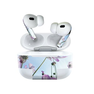 Air Pods Pro2 / Pro1 p fUCXLV[ airpods GA|bh apple Abv AirPods Pro 1 airpodsPro 2 Ή Cz Jo[ fR[V ANZT[ fRV[ 025826 ԁ@RX