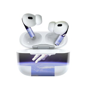 Air Pods Pro2 / Pro1 ��p �f�U�C���X�L���V�[�� airpods �G�A�|�b�h apple �A�b�v�� AirPods Pro ��1���� airpodsPro ��2���� �Ή� �C���z�� �J�o�[ �f�R���[�V���� �A�N�Z�T���[ �f�R�V�[�� 025833 �F����s�m