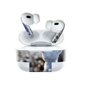Air Pods Pro2 / Pro1 p fUCXLV[ airpods GA|bh apple Abv AirPods Pro 1 airpodsPro 2 Ή Cz Jo[ fR[V ANZT[ fRV[ 025848 H@ʂ