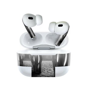 Air Pods Pro2 / Pro1 ��p �f�U�C���X�L���V�[�� airpods �G�A�|�b�h apple �A�b�v�� AirPods Pro ��1���� airpodsPro ��2���� �Ή� �C���z�� �J�o�[ �f�R���[�V���� �A�N�Z�T���[ �f�R�V�[�� 025853 �����@�]�E