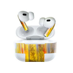 Air Pods Pro2 / Pro1 p fUCXLV[ airpods GA|bh apple Abv AirPods Pro 1 airpodsPro 2 Ή Cz Jo[ fR[V ANZT[ fRV[ 025926 IC@r