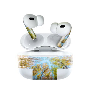 Air Pods Pro2 / Pro1 p fUCXLV[ airpods GA|bh apple Abv AirPods Pro 1 airpodsPro 2 Ή Cz Jo[ fR[V ANZT[ fRV[ 025927 Xс@؁@