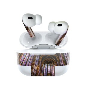 Air Pods Pro2 / Pro1 ��p �f�U�C���X�L���V�[�� airpods �G�A�|�b�h apple �A�b�v�� AirPods Pro ��1���� airpodsPro ��2���� �Ή� �C���z�� �J�o�[ �f�R���[�V���� �A�N�Z�T���[ �f�R�V�[�� 025938 ����@�X�e