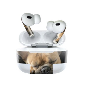 Air Pods Pro2 / Pro1 p fUCXLV[ airpods GA|bh apple Abv AirPods Pro 1 airpodsPro 2 Ή Cz Jo[ fR[V ANZT[ fRV[ 025947 @@