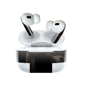 Air Pods Pro2 / Pro1 p fUCXLV[ airpods GA|bh apple Abv AirPods Pro 1 airpodsPro 2 Ή Cz Jo[ fR[V ANZT[ fRV[ 025950 @@