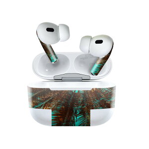 Air Pods Pro2 / Pro1 ��p �f�U�C���X�L���V�[�� airpods �G�A�|�b�h apple �A�b�v�� AirPods Pro ��1���� airpodsPro ��2���� �Ή� �C���z�� �J�o�[ �f�R���[�V���� �A�N�Z�T���[ �f�R�V�[�� 025952 �ā@���V��