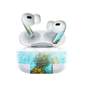Air Pods Pro2 / Pro1 ��p �f�U�C���X�L���V�[�� airpods �G�A�|�b�h apple �A�b�v�� AirPods Pro ��1���� airpodsPro ��2���� �Ή� �C���z�� �J�o�[ �f�R���[�V���� �A�N�Z�T���[ �f�R�V�[�� 025953 �C�@�p�C�i
