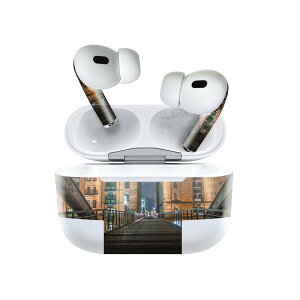 Air Pods Pro2 / Pro1 ��p �f�U�C���X�L���V�[�� airpods �G�A�|�b�h apple �A�b�v�� AirPods Pro ��1���� airpodsPro ��2���� �Ή� �C���z�� �J�o�[ �f�R���[�V���� �A�N�Z�T���[ �f�R�V�[�� 025992 �����@�s�s