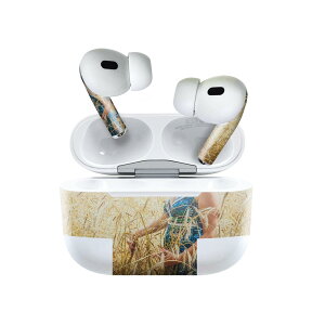 Air Pods Pro2 / Pro1 ��p �f�U�C���X�L���V�[�� airpods �G�A�|�b�h apple �A�b�v�� AirPods Pro ��1���� airpodsPro ��2���� �Ή� �C���z�� �J�o�[ �f�R���[�V���� �A�N�Z�T���[ �f�R�V�[�� 025999 �����@���R