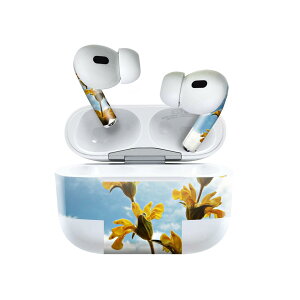 Air Pods Pro2 / Pro1 p fUCXLV[ airpods GA|bh apple Abv AirPods Pro 1 airpodsPro 2 Ή Cz Jo[ fR[V ANZT[ fRV[ 026000 ԁ@@_